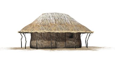thatch kulübe - beyaz arka plan üzerinde izole