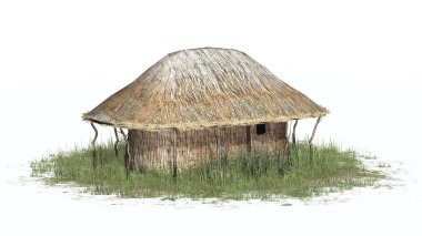 çim - beyaz arka plan üzerinde izole kulübede saz