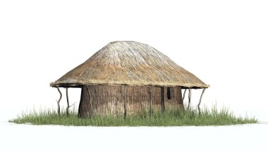 çim - beyaz arka plan üzerinde izole kulübede saz