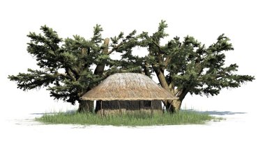 Thatch hut ve ağaçlar - beyaz arka plan üzerinde izole