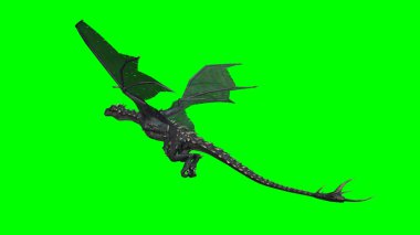 Dragon - yeşil ekran