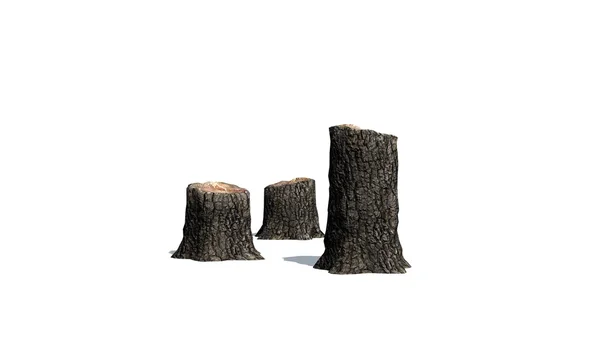 Cluster de tocos de árvore - no fundo branco — Fotografia de Stock