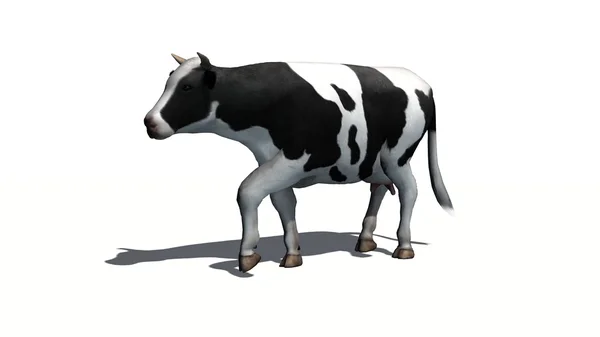 Kuh auf weißem Hintergrund — Stockfoto