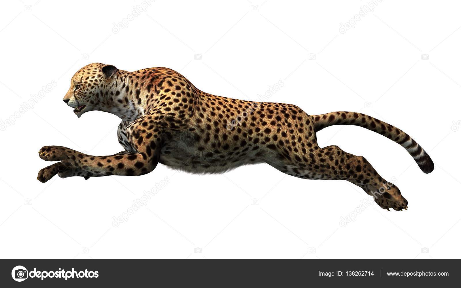 Cheetah Glitter Background