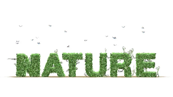 Nature logo from green ivy leaves separated on white background — Stock Photo, Image
