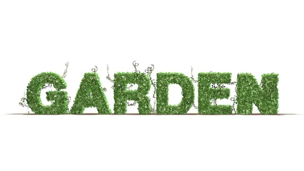 Bahçe Yeşil sarmaşık metinden beyaz arka plan üzerinde bırakır — Stok fotoğraf