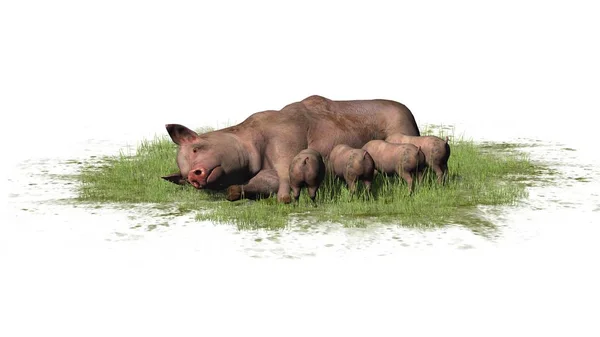 Schwein mit Ferkeln im Gras - 3D-Rendering — Stockfoto