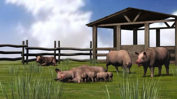 Porco com leitões na grama - renderização 3D — Fotografia de Stock