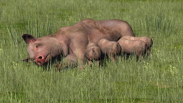 Pig with piglets in the grass - 3D rendering — Stock Photo, Image