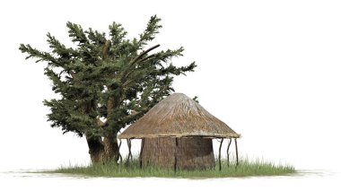 Thatch hut ve ağaç - beyaz arka plan üzerinde izole