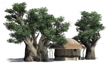 Thatch hut ve ağaçlar - beyaz arka plan üzerinde izole