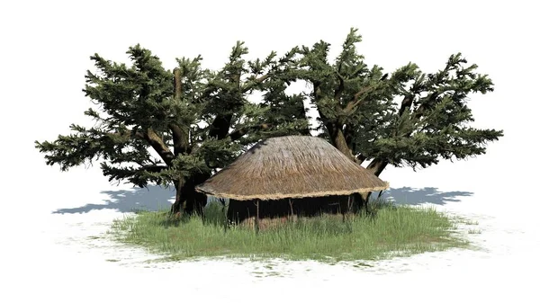 Capanna Paglia Nell Erba Tra Gli Alberi Isolata Sfondo Bianco — Foto Stock