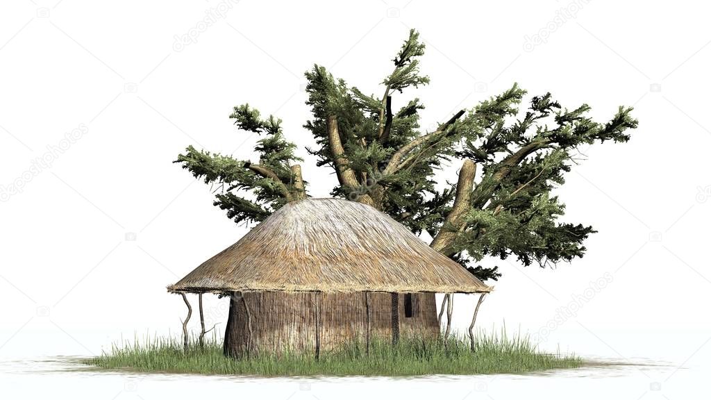 thatch hut and tree - isolated on white background