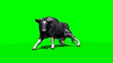 aşağı bırakır inek ve 2 - yeşil ekran dinlenme