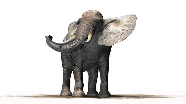 Слон Песке Изолирован Белом Фоне — стоковое фото