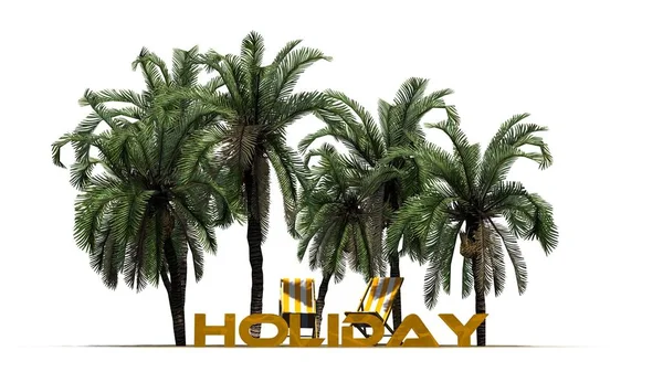 Holiday Lettering Front Palm Trees Separated White Background — Stock Photo, Image