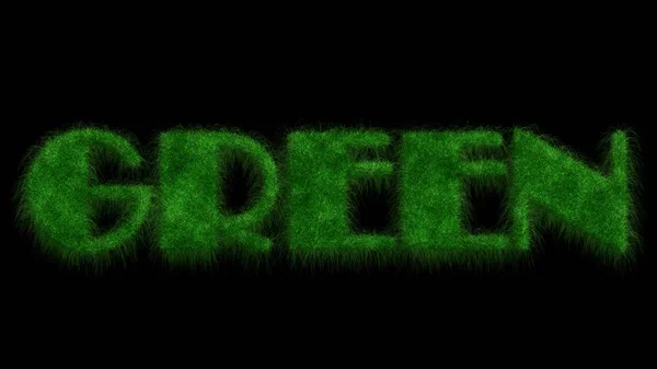 Lettering Groen Woord Groene Letters Gemaakt Van Gras Geïsoleerd Zwarte — Stockfoto