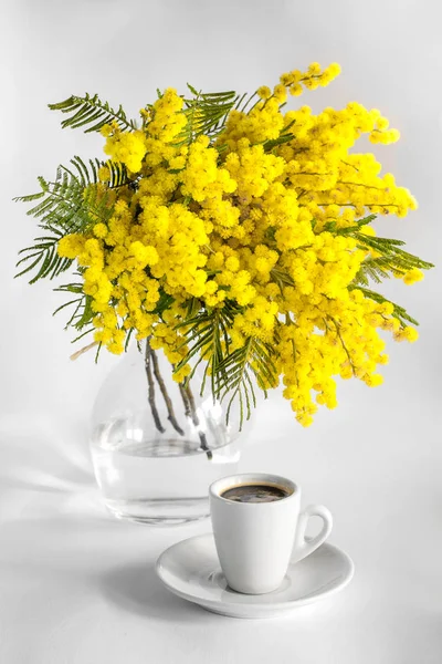 Bir fincan kahve ve beyaz zemin üzerine Mimoza dalları vazo