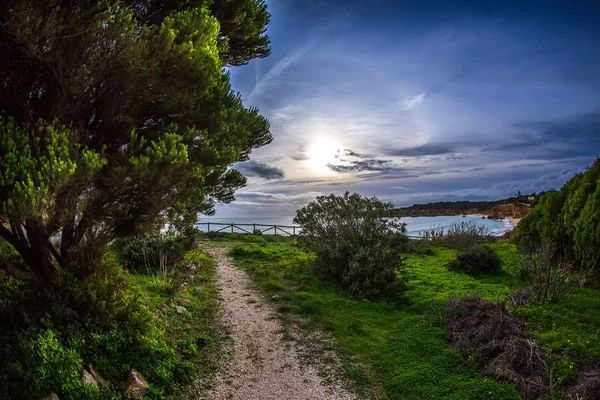 Ocean, sky, sun and trees near the beach in Portimao, Portugal