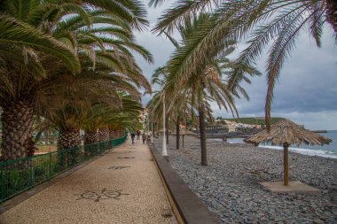 Taş yol boyunca okyanus yakın kayalık plaj şemsiye ve palmiye ağaçlarının Madeira Adası, Portekiz