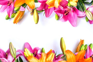 Beyaz üzerine zambaklar kartpostal arkaplan sınır çerçevesi. Üst manzara pembe ve turuncu çiçekler fotokopi alanı ile. Düz yatıyordu. Metin için boş alan.