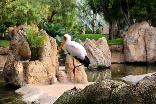 バレンシア公園にある倉庫で ストックフォト