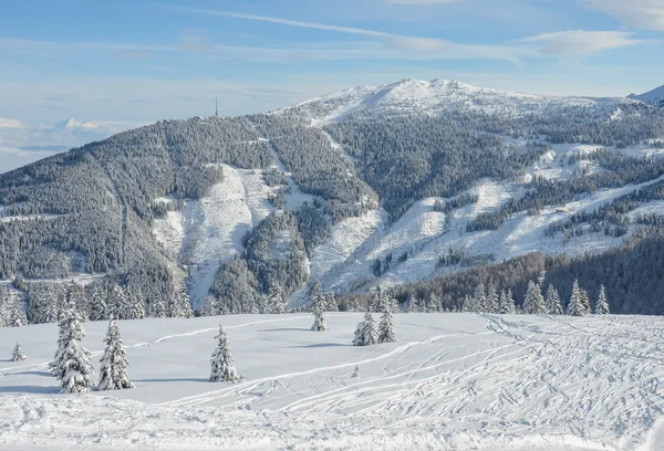 Όμορφη θέα στα βουνά το χειμώνα και χιονισμένα έλατα — Φωτογραφία Αρχείου