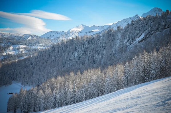 Belle vue sur les épicéas enneigés, les montagnes et les nuages bas en hiver — Photo