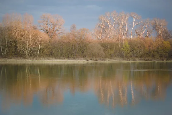Spiegelung der Bäume im Fluss — Stockfoto