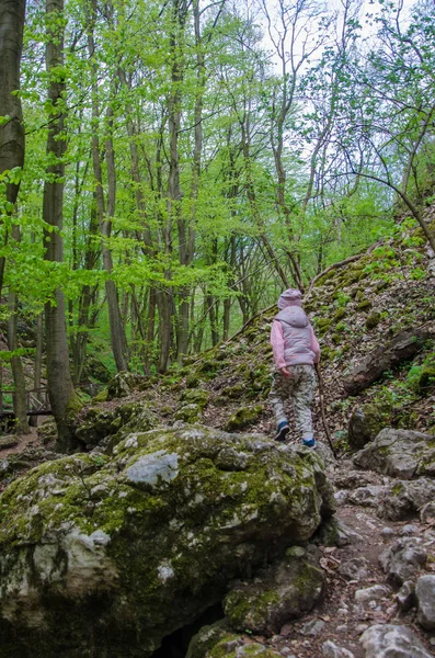 Foresta e fiume in una pittoresca gola in primavera — Foto Stock