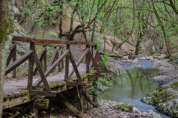 Wald und Fluss in einer malerischen Schlucht im Frühling — Stockfoto