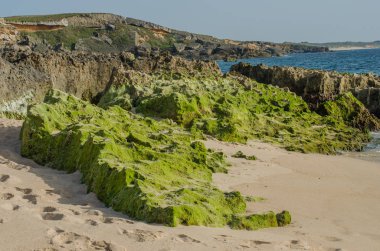 Praia da Ilha do Pessegueiro beach near Porto Covo, Portugal.