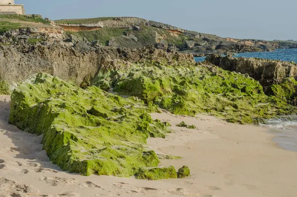 Praia da Ilha do Pessegueiro perto de Porto Covo, Portugal . — Fotografia de Stock