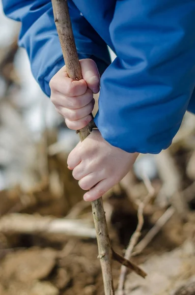 Childs handen houden een houten stok — Stockfoto