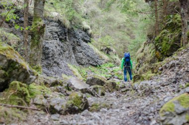 Kayalık ormanda iz ve turist önde gidiyor