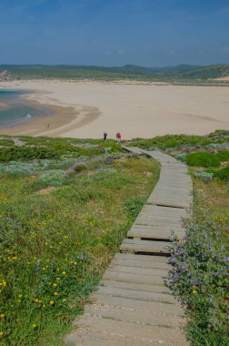 Praia da Bordeira beach near Carrapateira, Portugal.