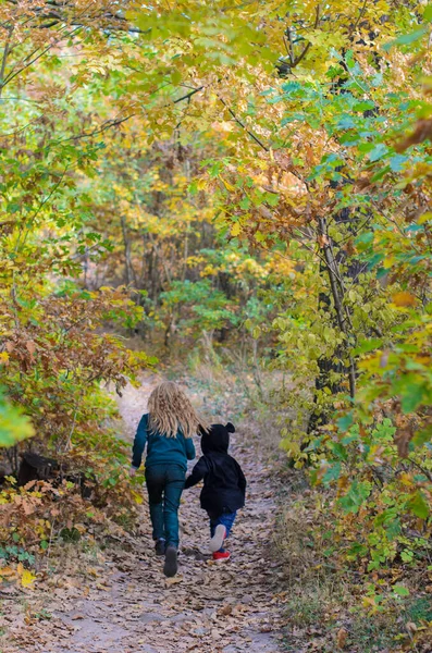Familie wandeling of wandeling door het bos in de vroege herfst — Stockfoto