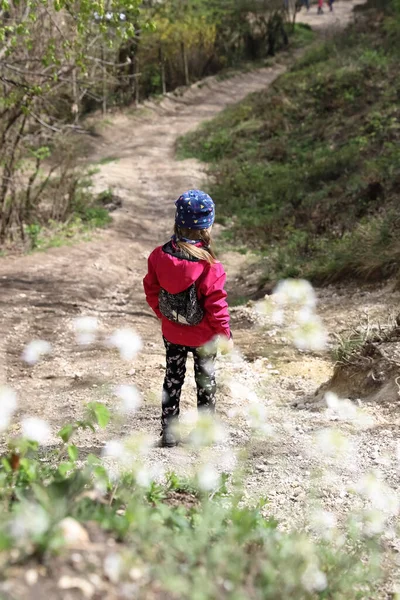 Familie wandeling of wandeling door het bergbos in het vroege voorjaar — Stockfoto