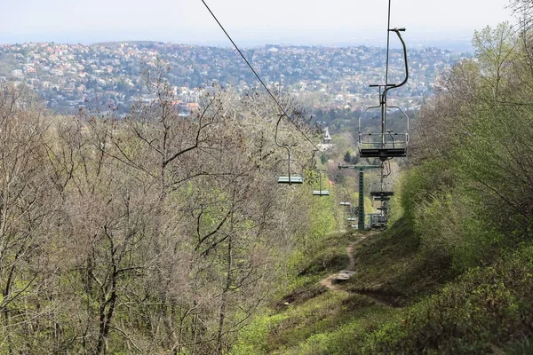Path under the chairlift in the mountain forest in early spring — Stock Photo, Image