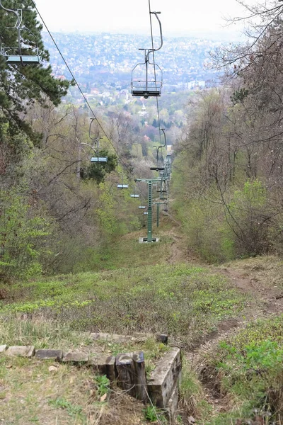 Path under the chairlift in the mountain forest in early spring — Stock Photo, Image