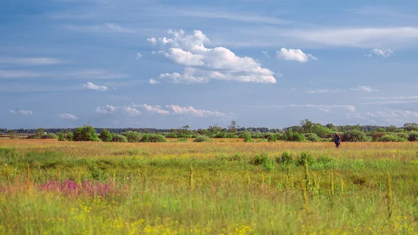 Yazın güzel doğası