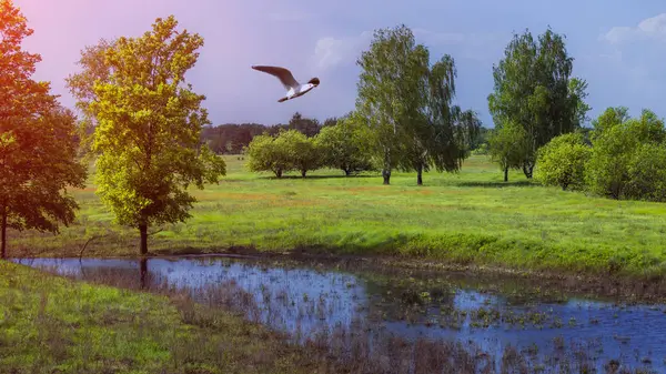 Yazın güzel doğası