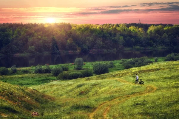 Yazın güzel doğası