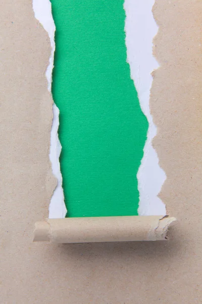 Papier vert déchiré et fond blanc — Photo