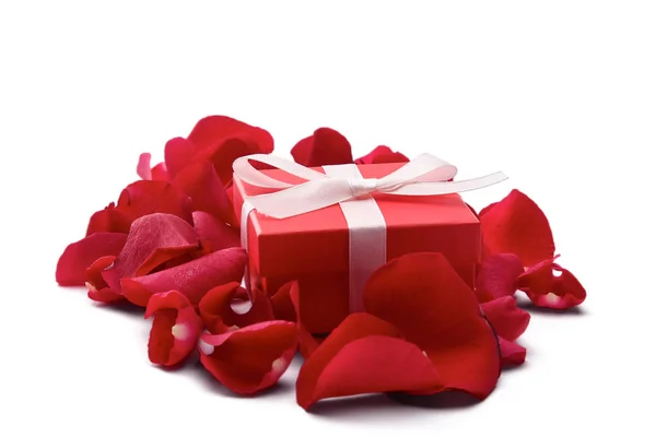 Gift box and red rose petals isolated on white background — Stock Photo, Image