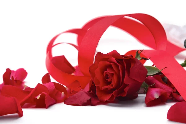 Petali di rosa rossa isolati su sfondo bianco — Foto Stock