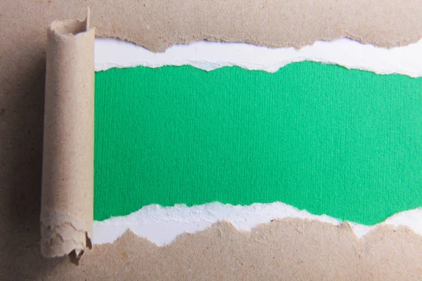 Papel verde rasgado y fondo blanco —  Fotos de Stock