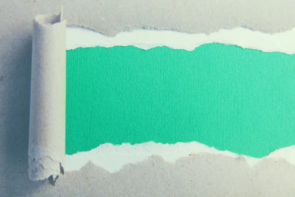 Strappi la carta verde e lo sfondo bianco — Foto Stock