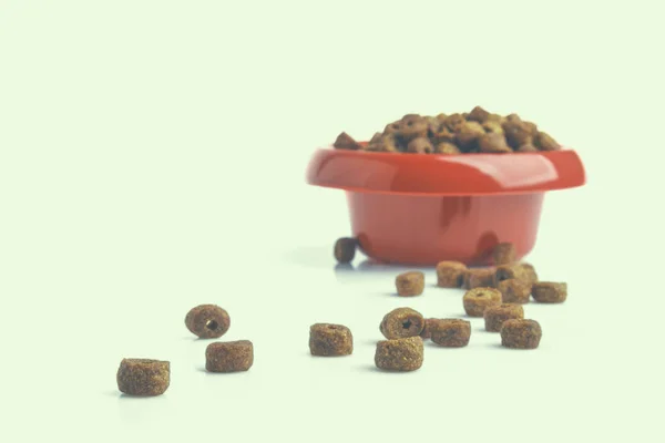 Comida para cães em uma tigela, isolada em fundo branco — Fotografia de Stock