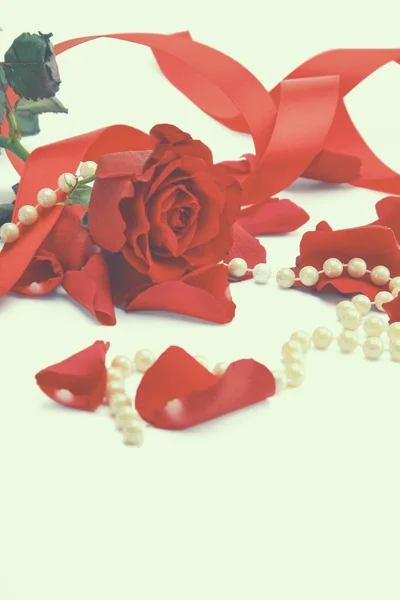 Petali di rosa rossa isolati su sfondo bianco — Foto Stock